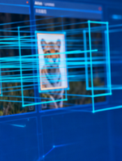 行业数据资产盘点